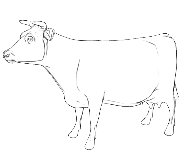 cow.png