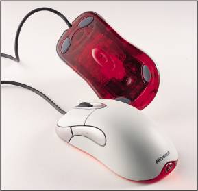 mouse1.jpg