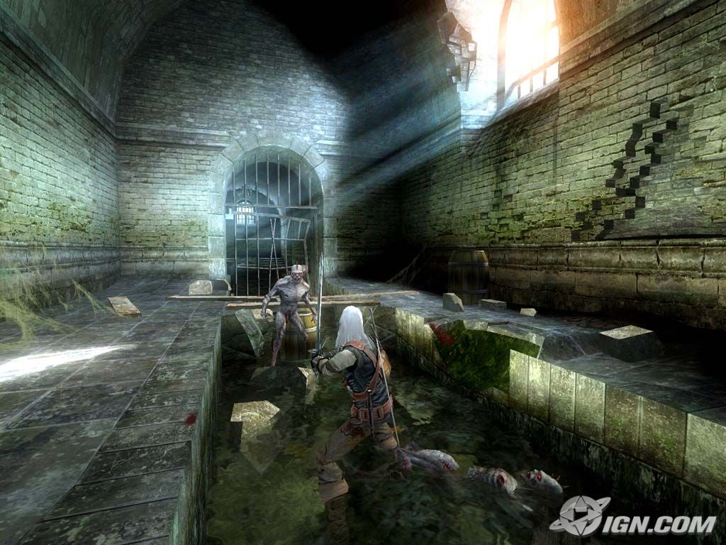 the-witcher-20050819081817925.jpg