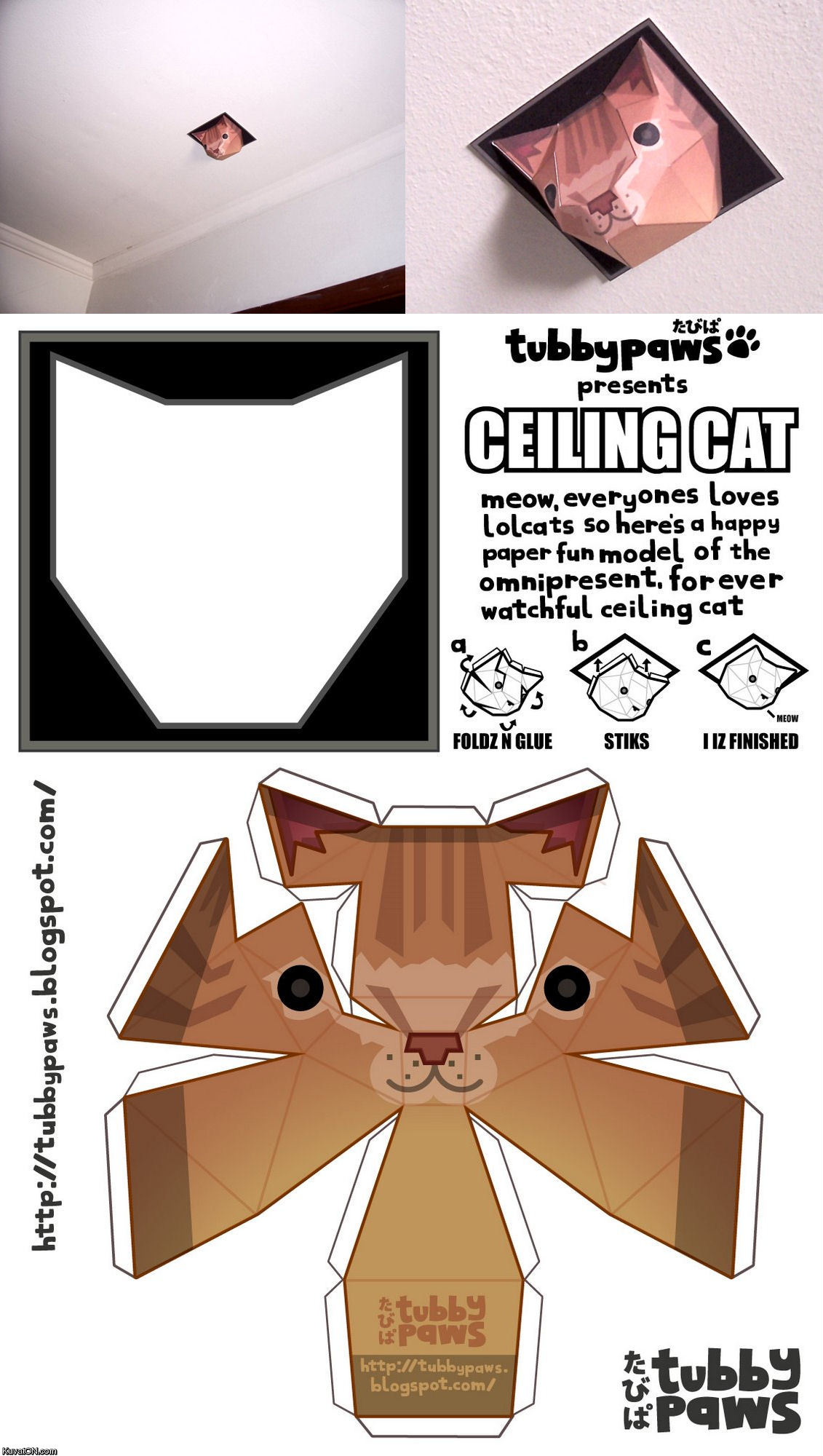 ceilingcat.jpg