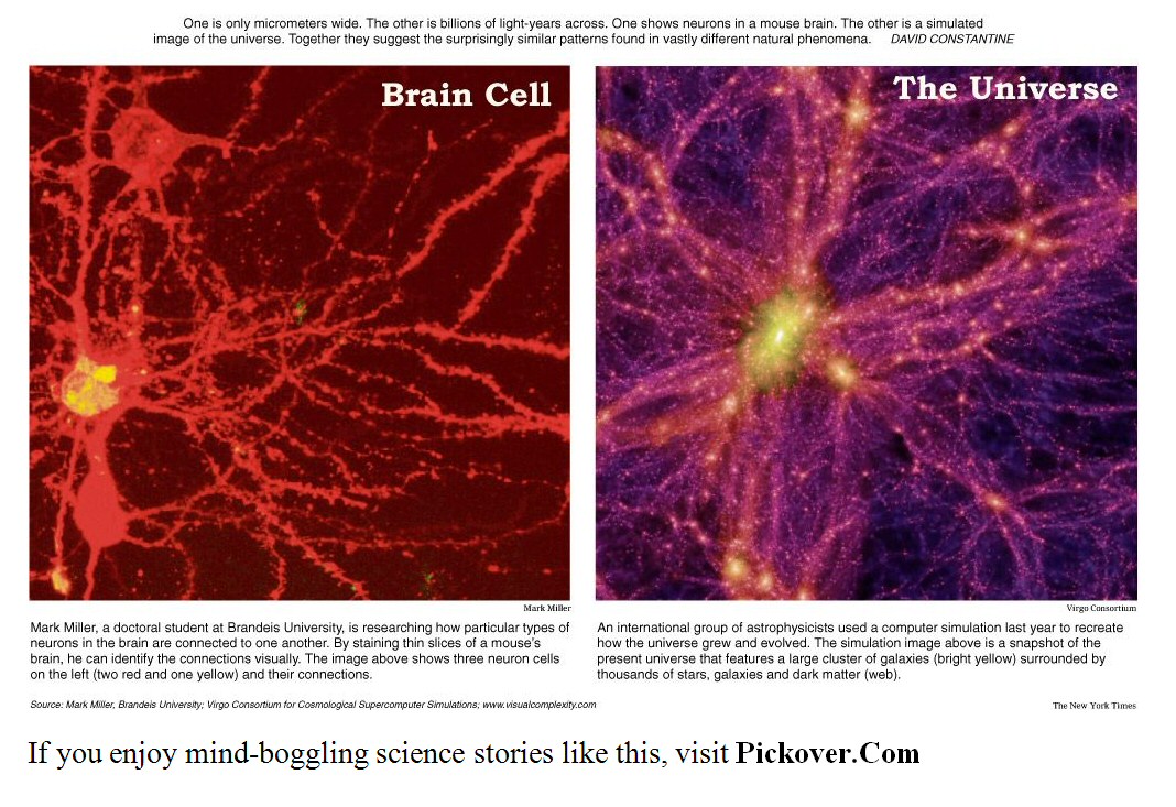 neuron-galaxy.jpg