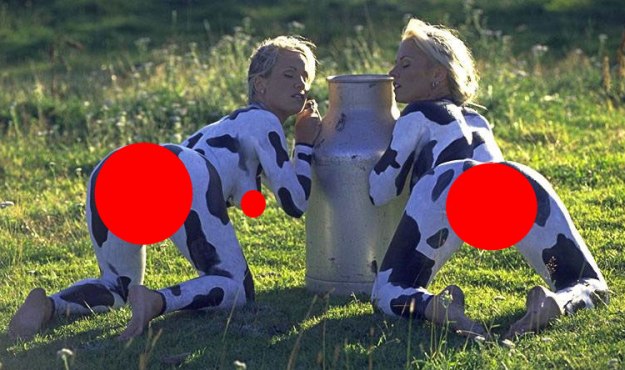 cow-porn.jpg