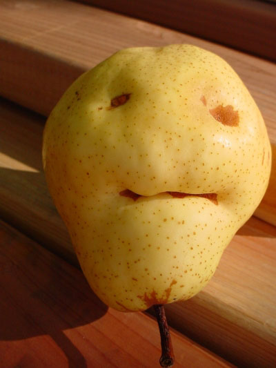 pear01.jpg