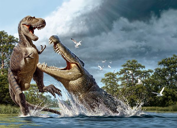 giant-croc-giantcroc-fossil-poop_17558_600x450.jpg