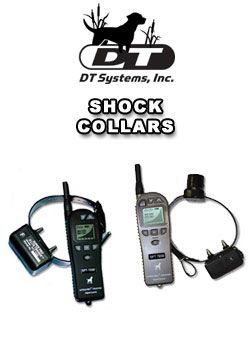 DTSystemsShockCollars.jpg