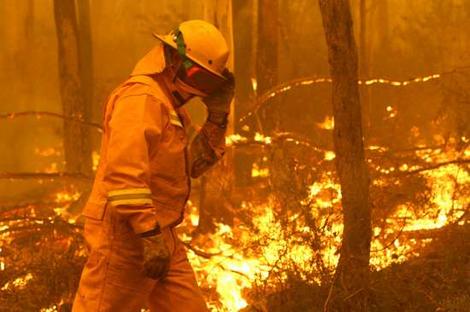 bushfire81206_wideweb__470x312,0.jpg