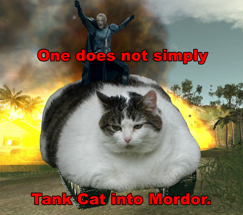 One_Does_Not_Simply_Tank_Cat_Into_M.jpg