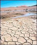 _1392983_parched150.jpg