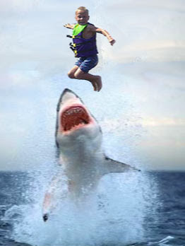 jumptheshark