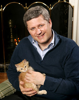 stephen-harper-kitten.jpg