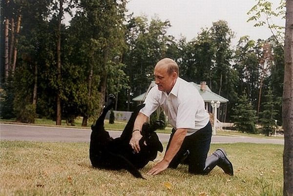 vladimir_putin_with_animals_03.jpg