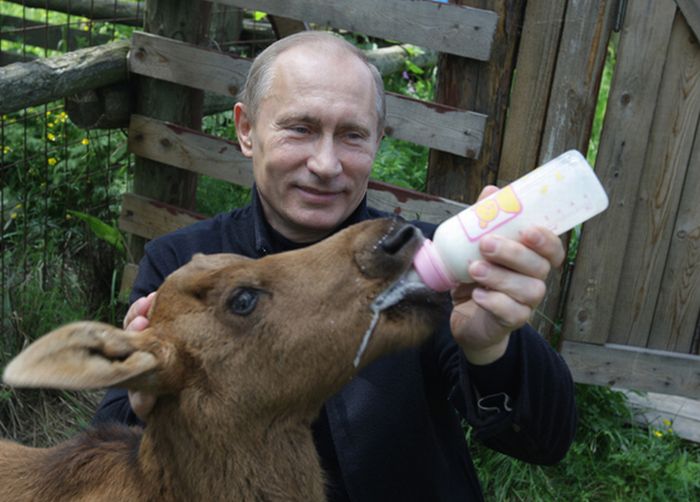 vladimir_putin_with_animals_01.jpg