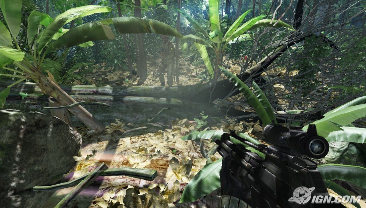 crysis-20060327065422577.jpg