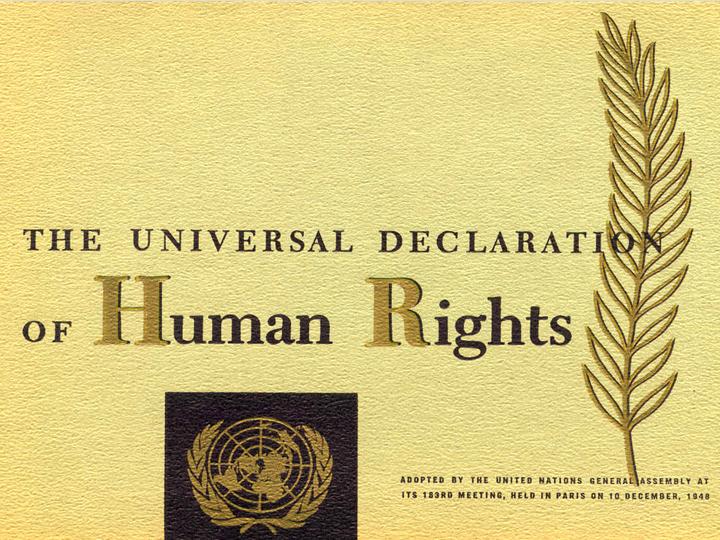 Pillar7-Society-Universal-Declaration-of-Human-Rights.jpg