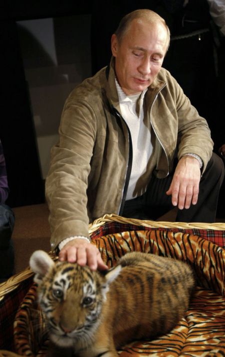 vladimir_putin_with_animals_14.jpg