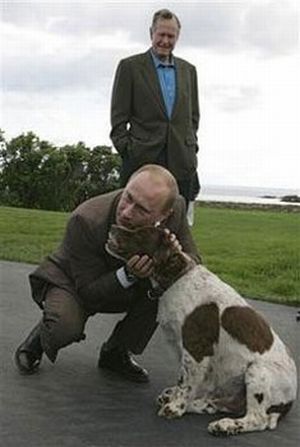 vladimir_putin_with_animals_06.jpg