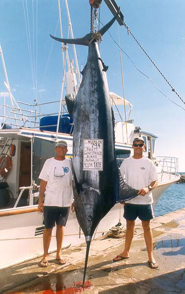 794%20lb.%20blue%20marlin.jpg