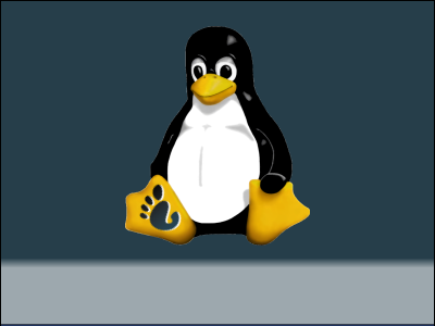 Splash-Tux-With-Gnome-Foot.png