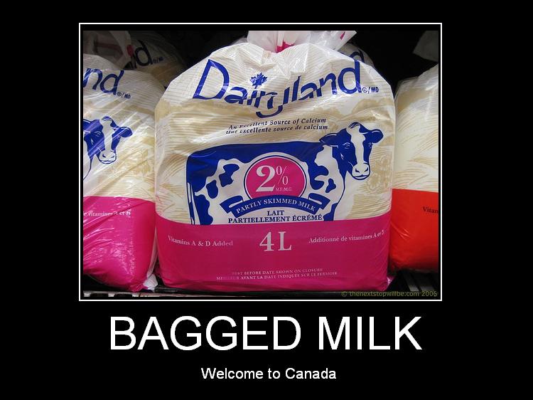 bagged%20milk.jpg