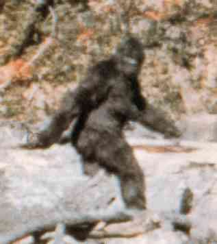 bigfoot.jpg