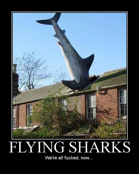 flying-sharks.jpg