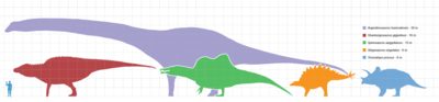 400px-Largestdinosaursbysuborder_scale.png