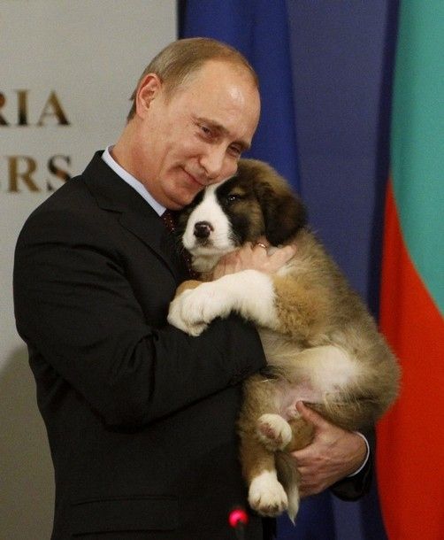 vladimir_putin_with_animals_02.jpg