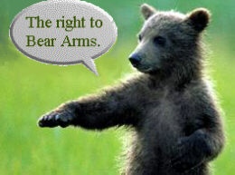 Bear%20Arms%20a%20Right.jpg