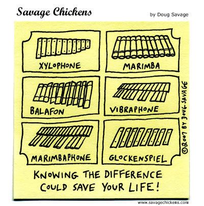 chickenxylophone.jpg