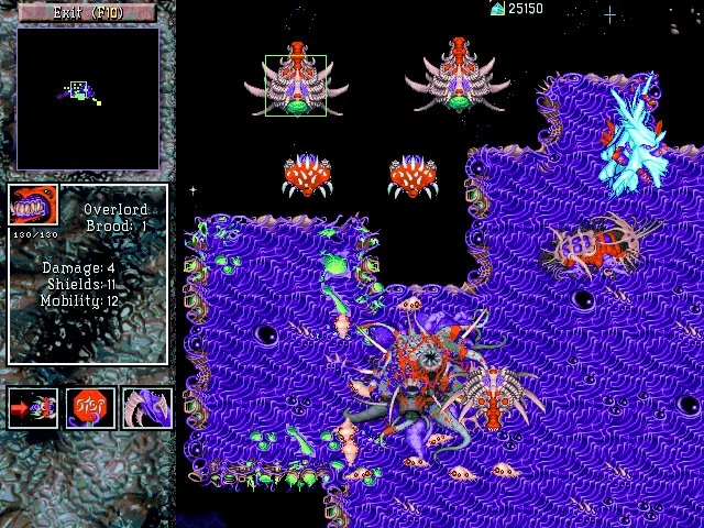 Zergalpha.jpg