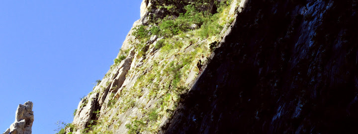 Small%20Possibly%20Josh%20on%20Jungle%20Mountaineering.jpg