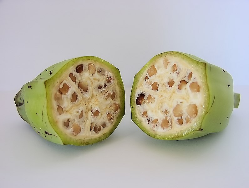 796px-Inside_a_wild-type_banana.jpg